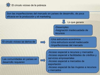Acceso especial a mercados de exportación
