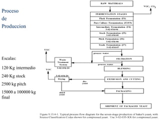 Proceso
de
Produccion




Escalas:

120 Kg intermedio
240 Kg stock
2500 kg pitch
15000 a 100000 kg
final
 