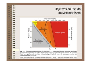 Objetivos do Estudoj
do Metamorfismo
 