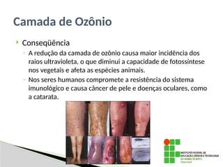  Conseqüência
◦ A redução da camada de ozônio causa maior incidência dos
raios ultravioleta, o que diminui a capacidade de fotossíntese
nos vegetais e afeta as espécies animais.
◦ Nos seres humanos compromete a resistência do sistema
imunológico e causa câncer de pele e doenças oculares, como
a catarata.
Camada de Ozônio
 