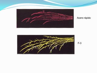 Acero rápido




F-3
 