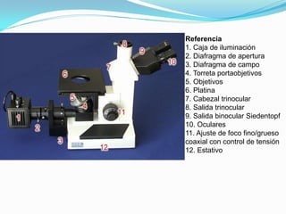 Referencia
1. Caja de iluminación
2. Diafragma de apertura
3. Diafragma de campo
4. Torreta portaobjetivos
5. Objetivos
6. Platina
7. Cabezal trinocular
8. Salida trinocular
9. Salida binocular Siedentopf
10. Oculares
11. Ajuste de foco fino/grueso
coaxial con control de tensión
12. Estativo
 