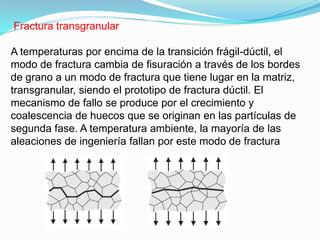 Fractura transgranular

A temperaturas por encima de la transición frágil-dúctil, el
modo de fractura cambia de ﬁsuración a través de los bordes
de grano a un modo de fractura que tiene lugar en la matriz,
transgranular, siendo el prototipo de fractura dúctil. El
mecanismo de fallo se produce por el crecimiento y
coalescencia de huecos que se originan en las partículas de
segunda fase. A temperatura ambiente, la mayoría de las
aleaciones de ingeniería fallan por este modo de fractura
 