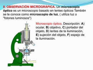 8. OBSERVACIÓN MICROGRÁFICA. Un microscopio
óptico es un microscopio basado en lentes ópticos También
se le conoce como microscopio de luz, ( utiliza luz o
"fotones luminosos")
                      Microscopio óptico. Descripción: A)
                      ocular, B) objetivo, C) portador del
                      objeto, D) lentes de la iluminación,
                      E) sujeción del objeto, F) espejo de
                      la iluminación.
 