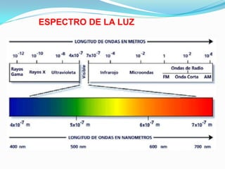 ESPECTRO DE LA LUZ
 