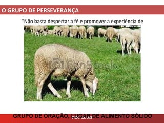 O GRUPO DE PERSEVERANÇA
RCC GOIÁS
“Não basta despertar a fé e promover a experiência de
pentecostes”.
GRUPO DE ORAÇÃO, LUGAR DE ALIMENTO SÓLIDO
 