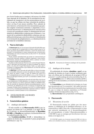 61.   Quimioterapia antineoplásica I. Bases fundamentales. Antimetabolitos, fijadores a la tubulina, inhibidores de topoisomerasas                1029

por el nivel tisular que se consigue), del acceso a la célula
                                                                                                                                           NH2
(que depende de la afinidad y de la actividad de los me-                                                                                   I
canismos de transporte) y de las características de la cé-                                                                             N
lula, ya que las células con baja velocidad de prolifera-
ción o en fase S son menos sensibles. Pero, además de                                                                              O           N

estos factores, se han descrito otros mecanismos que pue-                                        O
den originar resistencias naturales o adquiridas a la ac-                                        II                     HOH2C      O
                                                                                                              F
                                                                                           HN
ción del metotrexato: a) disminución de la entrada activa
a través de la membrana celular; b) disminución de la afi-                                O      N
nidad de la dihidrofólico-reductasa por el fármaco; c) au-                                       H                          OH

mento de la cantidad de dihidrofólico-reductasa, por am-                                  5-Fluorouracilo                       Desoxicitidina
plificación del gen que controla su síntesis; d) disminución
en la formación de poliglutamatos, y e) disminución de la                                                         NH2                            NH2
                                                                                                                  I                              I
actividad de la timidilato-sintetasa.                                                                     N                                    N    N

                                                                                                      O           N                        O        N
7.   Nuevos derivados
    El trimetrexato (fig. 61-2) es un nuevo derivado del ácido fólico que,            HOH2C                                HOH2C
                                                                                                      O                                    O
al no ser captado por el transportador de folatos, puede actuar en tu-
mores que hayan desarrollado resistencia a través del sistema trans-                                      OH
portador. Es metabolizado en mayor proporción que el metotrexato,
eliminándose por orina en forma activa en sólo el 6-25 %. Su semivida                           OH                                 OH              OH
es de 11-16 horas.                                                                         Arabinósido de citosina
    Puede producir mielodepresión que puede ser contrarrestada por                                                               5-Azacitidina
                                                                                              Citarabina (ara-C)
leucovorina; mucositis, náuseas y vómitos, erupciones y otras reaccio-
nes dérmicas, aumento de transaminasas, fiebre y malestar. La toxici-
dad aumenta cuando hay hipoalbuminemia.
    Se utiliza en infecciones por Pneumocystis carinii (45 mg/m2/día) du-     Fig. 61-5. Estructura de fármacos análogos de las pirimidi-
rante 21 días junto con leucovorina; en cáncer de pulmón, de cabeza y                                    nas.
cuello y de colon (8-12 mg/m2/día) durante 5 días, y se repite cada 3-
4 semanas. La administración es por infusión IV en 50 ml de dextrosa
al 5 % durante 60-90 min.                                                    1.2.    Análogos de la citosina
    El edatrexato es otro derivado del ácido fólico en fase de investiga-
ción, con posible utilización en cáncer de pulmón de células no peque-          El arabinósido de citosina, citarabina o ara-C, es nu-
ñas, cáncer de cabeza y cuello, y otros. Se elimina por orina en el          cleósido de citosina en el que el azúcar arabinosa susti-
30 %, principalmente por secreción tubular, y su t1/2 es de 12 horas. La     tuye a la ribosa; por la existencia de un grupo b-OH en
dosis es de 80 mg/m2/semana, por vía IV. La toxicidad es similar a la del    posición 2', resulta análogo de la desoxicitidina (fig. 61-5).
trimetrexato.
    El tomudex no es propiamente derivado del ácido fólico sino de uno
                                                                                La gemcitabina es la 2'-2'-difluorodesoxicitidina (dFdC),
de sus componentes, el ácido glutámico; se encuentra en fase de ensayo       análogo de la desoxicitidina y en relación estructural con la
con cierta eficacia en el cáncer colorrectal. Inhibe la timidilato-sinte-    citarabina.
tasa. Su semivida de eliminación fluctúa extraordinariamente, entre 8           La 5-azacitidina es un ribósido de la citosina en el que
y 105 horas. Se administra por vía IV a la dosis de 3,4 mg/m2/día cada
                                                                             hay incorporado un N en posición 5 del anillo heterocí-
3 semanas. Produce fuerte leucopenia (en el 60 %) y trombocitopenia
(en el 25 %), toxicidad gastrointestinal, erupciones cutáneas, malestar      clico. Esta sustitución hace químicamente inestable al ani-
generalizado y aumento pasajero de las transaminasas.                        llo, que se rompe de manera espontánea en N-formil-
                                                                             amidino-ribofuranosilguanilurea (fig. 61-5).
                                                                                La fluorocitosina tiene propiedades antifúngicas.
B. ANÁLOGOS DE LAS BASES
   PIRIMIDÍNICAS
                                                                             2.     Fluorouracilo
1.   Características químicas                                                2.1.    Mecanismo de acción
1.1. Análogos del uracilo                                                       El fluorouracilo lesiona las células por dos meca-
                                                                             nismos: a) inhibición de la timidilato-sintetasa y b) in-
  El más sencillo es el 5-fluorouracilo (5-FU), que in-                      corporación al ARN. Para ello, el fluorouracilo se tiene
corpora un átomo de F en posición 5 en lugar del H;                          que convertir inicialmente en el desoxirribonucleóti-
de él derivan: su desoxirribonucleósido la floxuridina                       do correspondiente, el ácido 5-fluorodesoxiuridílico o
(FUdR) y el ftorafur que sustituye a la desoxirribosa con                    5-FdUMP, lo que se consigue por las diversas vías resu-
un radical furanilo (fig. 61-5).                                             midas en la figura 61-6.
  La 5-yododesoxiuridina (IUdR o idoxuridina) in-
corpora un átomo de I en posición 5; posee propiedades                           El 5-FdUMP compite con el sustrato natural d-UMP en el sitio ca-
antivíricas (v. cap. 71).                                                    talítico de la timidilato-sintetasa, enzima responsable de la transferen-
 