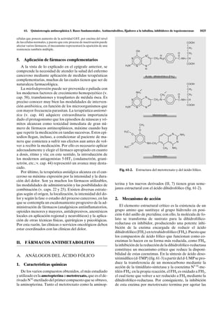 61.   Quimioterapia antineoplásica I. Bases fundamentales. Antimetabolitos, fijadores a la tubulina, inhibidores de topoisomerasas          1025

células que poseen aumento de la actividad GST, por encima del nivel
de las células normales, y puesto que este proceso de inactivación puede                                                                  COOH
afectar varios fármacos, el mecanismo representará la aparición de una                                                                    I
                                                                                                                                          CH2
resistencia también múltiple.                                                                                                             I
                                                                                              OH
                                                                                                                                    O     CH2
                                                                                                        N5         H                II    I
                                                                                          N                    CH2–N 10             C–NH– CH
5.   Aplicación de fármacos complementarios                                                                                               I
                                                                                                                                          COOH
                                                                                    H2N       N         N
   A la vista de lo explicado en el epígrafe anterior, se                                               H
comprende la necesidad de atender la salud del enfermo
canceroso mediante aplicación de medidas terapéuticas                                                   Ácido dihidrofólico (FH2)
complementarias, muchas de las cuales tienen que ser de
naturaleza farmacológica.                                                                                                                 COOH
                                                                                                                                          I
   La mielodepresión puede ser prevenida o paliada con                                                                                    CH2
                                                                                              NH2                                         I
los modernos factores de crecimiento hemopoyético (v.                                                               CH3             O     CH2
cap. 58), transfusiones y trasplantes de médula ósea. Es                                                N
                                                                                                               CH2–N
                                                                                                                                    II    I
                                                                                          N                                         C–NH– CH
preciso conocer muy bien las modalidades de interven-                                                                                     I
                                                                                                                                          COOH
ción antibiótica, en función de los microorganismos que                             H2N       N         N
con mayor frecuencia parasitan. La terapéutica antiemé-
tica (v. cap. 44) adquiere extraordinaria importancia                                                         Metotrexato
dado el protagonismo que los episodios de náuseas y vó-
mitos alcanzan como toxicidad inmediata de gran nú-                                               CH3
mero de fármacos antineoplásicos, máxime cuando hay                                               I
                                                                                                  O
que repetir la medicación en tandas sucesivas. Estos epi-                          H3C            I
                                                                                          O                                   N       NH2
sodios llegan, incluso, a condicionar al paciente de ma-
nera que comienza a sufrir sus efectos aun antes de vol-                                                 NH–CH2
                                                                                                                                  N
                                                                                          O
ver a recibir la medicación. Por ello es necesario aplicar                         H3C                                 I       I
                                                                                                                       CH3     NH2
adecuadamente y elegir el fármaco apropiado en cuanto
a dosis, ritmo y vía; en este sentido, la introducción de                                                     Trimetrexato
los modernos antagonistas 5-HT3 (ondansetrón, grani-
setrón, etc.; v. cap. 44) representó un avance muy desta-
cado.
                                                                                Fig. 61-2. Estructura del metotrexato y del ácido fólico.
   Por último, la terapéutica antiálgica alcanza en el can-
ceroso su máxima expresión por la intensidad y la dura-
ción del dolor. Son ya muchos los fármacos utilizables,
las modalidades de administración y las posibilidades de                   terina y los nuevos derivados (II, 7) tienen gran seme-
combinación (v. caps. 22 y 25). Existen diversas estrate-                  janza estructural con el ácido dihidrofólico (fig. 61-2).
gias según el origen, la localización, la intensidad del do-
lor y según la fase o estadio del proceso canceroso, en las                2.    Mecanismo de acción
que se contempla un escalonamiento progresivo de la ad-
ministración de fármacos (analgésicos antiinflamatorios,                       El elemento estructural crítico es la existencia de un
opioides menores y mayores, antidepresivos, anestésicos                    grupo amino que sustituye al grupo hidroxilo en posi-
locales en aplicación regional y neurolíticos) y la aplica-                ción 4 del anillo de pteridina; con ello, la molécula de fo-
ción de otras técnicas físicas, quirúrgicas y psicológicas.                lato se transforma de sustrato para la dihidrofólico-
Por esta razón, las clínicas o servicios oncológicos deben                 reductasa en inhibidor, produciendo una potente inhi-
estar coordinados con las clínicas del dolor.                              bición de la enzima encargada de reducir el ácido
                                                                           dihidrofólico (FH2) en tetrahidrofólico (FH4). Puesto que
                                                                           los compuestos de ácido fólico que funcionan como co-
                                                                           enzimas lo hacen en su forma más reducida, como FH4,
II. FÁRMACOS ANTIMETABOLITOS
                                                                           la inhibición de la reducción de la dihidrofólico-reductasa
                                                                           constituye un mecanismo crítico que reduce la disponi-
                                                                           bilidad de estas coenzimas. En la síntesis de ácido deso-
A. ANÁLOGOS DEL ÁCIDO FÓLICO
                                                                           xitimidílico (d-TMP) (fig. 61-3) a partir del d-UMP se pro-
                                                                           duce la transferencia de un monocarbono mediante la
1.   Características químicas
                                                                           acción de la timidilato-sintetasa y la coenzima N5-10-me-
   De los varios compuestos obtenidos, el más estudiado                    tilén-FH4; en la propia reacción, el FH4 es oxidado a FH2,
y utilizado es la ametopterina o metotrexato, que es el de-                el cual tiene que volver a ser reducido a FH4 mediante la
rivado N10-metilado del primer compuesto que se obtuvo,                    dihidrofólico-reductasa. Por consiguiente, la inhibición
la aminopterina. Tanto el metotrexato como la aminop-                      de esta enzima por metotrexato termina por agotar las
 