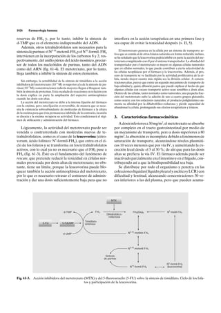1026     Farmacología humana

reservas de FH4 y, por lo tanto, inhibir la síntesis de                        interfiera en la acción terapéutica en una primera fase y
d-TMP que es el elemento indispensable del ADN.                                sea capaz de evitar la toxicidad después (v. II, 5).
   Además, otros tetrahidrofolatos son necesarios para la
síntesis de purinas: el N5-10-metenil-FH4 y el N10-formil- FH4                     El metotrexato penetra en la célula por un sistema de transporte ac-
                                                                               tivo que es común al de otros folatos naturales en forma reducida; incluso,
intervienen en la incorporación de los carbonos 8 y 2, res-                    se ha señalado que la leucovorina podría inhibir en parte la acción del me-
pectivamente, del anillo púrico del ácido inosínico, precur-                   totrexato compitiendo con él por el sistema transportador. La afinidad del
sor de todos los nucleótidos de purinas, tanto del ADN                         transportador por el metotrexato es mayor en algunas células tumorales
como del ARN (fig. 61-4). El metotrexato, por lo tanto,                        que en células normales, lo que puede contribuir a cierta selectividad de
                                                                               las células neoplásicas por el fármaco y la leucovorina. Además, el pro-
llega también a inhibir la síntesis de estos elementos.                        ceso de transporte se ve facilitado por la actividad proliferativa de la cé-
                                                                               lula, siendo mayor cuanto más rápida sea la división celular. A concen-
    Sin embargo, la sensibilidad de la síntesis de timidilato a la acción
                                                                               traciones altas, parece que existe un segundo mecanismo de transporte de
inhibidora del metotrexato (10–8 M) es superior a la de la síntesis de pu-
                                                                               baja afinidad y, quizá, difusión pasiva que puede explicar el hecho de que
rinas (10–7 M); concentraciones todavía mayores llegan a bloquear tam-
                                                                               algunas células con escaso transporte activo sean sensibles a dosis altas.
bién la síntesis de proteínas. Esta escalada de reacciones en relación con
                                                                               Dentro de las células, tanto normales como tumorales, una pequeña frac-
la dosis explica en parte la ampliación del espectro antineoplásico
                                                                               ción del metotrexato sufre la adición de uno a cuatro grupos glutamilo,
cuando las dosis son altas.
                                                                               como ocurre con los cofactores naturales; el producto poliglutámico au-
    La acción del metotrexato se debe a la intensa fijación del fármaco
                                                                               menta su afinidad por la dihidrofólico-reductasa y pierde capacidad de
con la enzima, pero esta fijación es reversible, de manera que se nece-
                                                                               abandonar la célula, prolongando sus efectos terapéuticos y tóxicos.
sita la existencia sobreabundante de moléculas de fármaco a la altura
de la enzima para que ésta permanezca inhibida; de lo contrario, la unión
se disocia y la enzima recupera su actividad. Esto condicionará el régi-       3.     Características farmacocinéticas
men de utilización y administración del fármaco.
                                                                                  A dosis inferiores a 30 mg/m2, el metotrexato se absorbe
   Lógicamente, la actividad del metotrexato puede ser                         por completo en el tracto gastrointestinal por medio de
vencida o contrarrestada con moléculas nuevas de te-                           un mecanismo de transporte, pero a dosis superiores a 80
trahidrofolatos, como es el caso de la leucovorina (citro-                     mg/m2, la absorción es incompleta debido a fenómenos de
vorum, ácido folínico: N5-formil-FH4), que entra en el ci-                     saturación de transporte, alcanzándose niveles plasmáti-
clo de los folatos y se transforma en los tetrahidrofolatos                    cos 10 veces menores que por vía IV, y aumentando la ex-
activos, con lo cual ya no es necesario que el FH2 pase a                      creción fecal desde el 5 al 30 %; de ahí que para las dosis
FH4 (fig. 61-3). Éste es el fundamento del fenómeno de                         altas se prefiera la vía IV. El fármaco además puede ser
rescate, que pretende reducir la toxicidad en células nor-                     inactivado parcialmente en el intestino y en el hígado, con-
males provocada por dosis altas de metotrexato; no obs-                        tribuyendo así a que la biodisponibilidad sea baja.
tante, tiene un límite, porque la leucovorina puede blo-                          Se distribuye por todo el organismo y penetra en las
quear también la acción antineoplásica del metotrexato,                        colecciones líquidas (líquido pleural y ascítico y LCR) con
por lo que es necesario retrasar el comienzo de adminis-                       dificultad y lentitud, alcanzando concentraciones 30 ve-
tración y dar una dosis suficientemente baja para que no                       ces inferiores a las del plasma, pero que pueden acumu-




                                                                             MTX



                                      d-TMP                      FH2                          FH4(Glu)0                    N5-metil-FH4
                                                                         Dihidrofólico-
                                                                          reductasa
                                                        Timidilato-
                     5-FU            5-FdUMP            sintetasa


                                      d-UMP                                               N5-10-metilén-FH4




                                                                                          N5-10-metenil-FH4

                                                                        Síntesis
                                                                       de purinas

                                                                                                                           N5-formil-FH4
                                                                                            N10-formil-FH4                 (leucovorina)



Fig. 61-3. Acción inhibidora del metotrexato (MTX) y del 5-fluorouracilo (5-FU) sobre la síntesis de timidilato. Ciclo de los fola-
                                             tos y participación de la leucovorina.
 