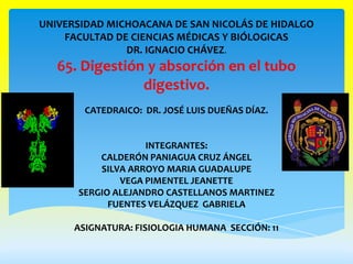 UNIVERSIDAD MICHOACANA DE SAN NICOLÁS DE HIDALGO
    FACULTAD DE CIENCIAS MÉDICAS Y BIÓLOGICAS
               DR. IGNACIO CHÁVEZ.
   65. Digestión y absorción en el tubo
                digestivo.
        CATEDRAICO: DR. JOSÉ LUIS DUEÑAS DÍAZ.


                   INTEGRANTES:
          CALDERÓN PANIAGUA CRUZ ÁNGEL
          SILVA ARROYO MARIA GUADALUPE
              VEGA PIMENTEL JEANETTE
      SERGIO ALEJANDRO CASTELLANOS MARTINEZ
            FUENTES VELÁZQUEZ GABRIELA

      ASIGNATURA: FISIOLOGIA HUMANA SECCIÓN: 11
 