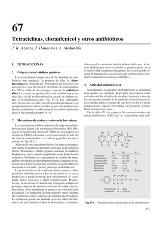67
Tetraciclinas, cloranfenicol y otros antibióticos
J. R. Azanza, J. Honorato y A. Mediavilla



I.   TETRACICLINAS                                               clina pueden continuar siendo activas dado que, al ser
                                                                 más lipófilas que otras tetraciclinas, pueden penetrar en
                                                                 el interior del citoplasma bacteriano sin necesidad de sis-
1.   Origen y características químicas                           tema de transporte. La resistencia de las bacterias se pro-
   Las tetraciclinas forman una de las familias de anti-         duce lentamente (escalones múltiples).
bióticos más antiguas. La primera de ellas, la clorte-
traciclina, fue obtenida en 1948 a partir del Streptomyces       3.   Actividad antiinfecciosa
aurofaciens y por ello recibió el nombre de aureomicina.
En l950 se aisló de Streptomyces rimosus la oxitetraci-             Inicialmente, el espectro antibacteriano se consideró
clina. La estructura química de estos antibióticos es te-        muy amplio; no obstante, la presión prescriptora reali-
tracíclica, de ahí su denominación, siendo su núcleo cen-        zada durante las décadas de los años cincuenta y sesenta
tral el octahidronaftaceno (fig. 67-1). Las principales          fue una merma notable de la actividad de los fármacos de
diferencias entre las diferentes tetraciclinas radican en su     esta familia, hasta el punto de que hoy en día no existe
comportamiento farmacocinético y por ello suelen clasi-          prácticamente especie bacteriana que presente sensibi-
ficarse atendiendo a la duración de su acción farmacoló-         lidad en todas sus cepas.
gica en tres grandes grupos (v. 4).                                 En la tabla 67-1 se exponen las concentraciones mí-
                                                                 nimas inhibitorias (CMI) de las tetraciclinas más utili-
2.   Mecanismo de acción y resistencia bacteriana
   Las tetraciclinas inhiben la síntesis de las proteínas bac-
terianas por fijarse a la subunidad ribosómica 30 S. Blo-
quean la fijación del aminoacil ARNt al sitio aceptor del                         OH         O         OH      O       O
                                                                                             II             OH II
complejo ARNm-ribosoma y, en consecuencia, la adición                                                                  II
                                                                                                                       C–NH2
de nuevos aminoácidos a la cadena peptídica en creci-
                                                                                                                       OH
miento (v. fig. 65-2).                                                            7          6         5
                                                                                                                     CH3
   Además de este mecanismo básico, las tetraciclinas pue-                        R7         R6        R5      N
                                                                                                                     CH3
den quelar el magnesio necesario para que se produzca la
unión ribosómica e inhibir algunos sistemas enzimáticos                                           R5            R6              R7
bacterianos, entre otros los implicados en la fosforilación               Tetraciclina            H,H           OH,CH3          –
oxidativa. Mediante este mecanismo de acción, las tetra-                  Oxitetraciclina         H,OH          OH,CH3          –
ciclinas producen un efecto bacteriostático, aunque en oca-               Clortetraciclina        H,H           OH,CH3          Cl
siones, si las bacterias son muy sensibles y la concentración             Demeclociclina          H,H           OH,H            Cl
                                                                          Metaciclina             H,OH          =CH2            –
alcanzada es elevada, pueden provocar su destrucción.                     Doxiciclina             H,OH          CH3H            –
   La penetración en el citoplasma bacteriano se realiza                  Minociclina             H,H           OH,CH3          N(CH3)2
mediante difusión pasiva a través de poros de la pared
                                                                                                   OH       CH2OH O
bacteriana y posteriormente por mecanismos de trans-                                               I        I     II
porte activo asociado a algún transportador. Precisa-                            R                 C        C N C          CH   Cl2
                                                                                                   I        I   I
mente, la alteración del sistema de transporte activo es el                                        H        H H
principal sistema de resistencia de las bacterias a las te-
traciclinas. Esta resistencia al parecer está mediada por                              Cloranfenicol: R = –NO2
                                                                                       Tianfenicol:   R = –SO2CH3
plásmidos y es inducible. Se han descrito otros sistemas
de resistencia, como la síntesis de enzimas inactivadoras.
La resistencia puede ser cruzada entre los diferentes fár-
macos de esta familia, si bien la doxiciclina y la minoci-        Fig. 67-1. Estructura de las tetraciclinas y del cloranfenicol.

                                                                                                                                          1131
 