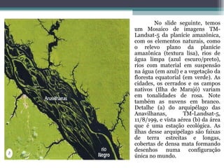 No slide seguinte, temos
um Mosaico de imagens TM-
Landsat-5 da planície amazônica,
com os elementos naturais, como
o relevo plano da planície
amazônica (textura lisa), rios de
água limpa (azul escuro/preto),
rios com material em suspensão
na água (em azul) e a vegetação da
floresta equatorial (em verde). As
cidades, os cerrados e os campos
nativos (Ilha de Marajó) variam
em tonalidades de rosa. Note
também as nuvens em branco.
Detalhe (a) do arquipélago das
Anavilhanas,        TM-Landsat-5,
11/8/199, e vista aérea (b) da área
que é uma estação ecológica. As
ilhas desse arquipélago são faixas
de terra estreitas e longas,
cobertas de densa mata formando
desenhos numa configuração
única no mundo.
 