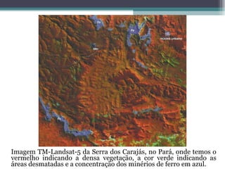Imagem TM-Landsat-5 da Serra dos Carajás, no Pará, onde temos o
vermelho indicando a densa vegetação, a cor verde indicando as
áreas desmatadas e a concentração dos minérios de ferro em azul.
 