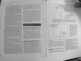 Capitulo 6 - Determinantes da morfologia oclusal