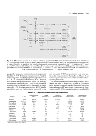 71.   Fármacos antivíricos      1189



                                                    CMV
                                                    UL97
                                 GCV


                                           GCV                  GCVMP                 GCVDP                    GCVTP
                            Intestino
                                                    VHS                 GMP-cinasa                              GTP
                                                     TK                   celular
                                VACV

                                           ACV                  ACVMP                 ACVDP                    ACVTP

                                           PCV                  PCVMP                 PCVDP                    PCVTP
                                                                                                                                   ADN
                                          BHCG                 BHCGMP                BHCGDP                    BHCGTP              vírico
                                 FCV
                                          BVaraU               BVaraUMP              BVaraUDP              BVaraUTP

                                                               HSV-1/VVZ
                                                                  TMP
                                                                 cinasa
                                           BVU                                                                  TTP


                                                                HPMPC               HPMPCMP               HPMPCDP



                                                                                                                CTP



Fig. 71-2. Mecanismos de acción de los fármacos antivíricos que inhiben la ADN-polimerasa vírica. Los nucleótidos trifosfatados
(TP) y difosfatados (DP) se dirigen hacia las ADN-polimerasas. El citomegalovirus (CMV) no sintetiza timidilato-cinasa, sino que
el gen UL97 codifica un péptido de tipo proteín-cinasa capaz de monofosforilar el ganciclovir (GCV). El aciclovir (ACV), penci-
clovir (PCV), lobucavir (BHCG) y sorivudina (BVaraU) son activados por la timidín-cinasa (TK) específica del virus herpes sim-
ple (HSV). El cidofovir (HPMPC) es un nucleótido que no necesita la TK vírica. BVU: bromoviniluracilo; CTP: citidín-trifosfato;
                       GTP: guanidín-trifosfato; TTP: timidín-trifosfato; VVZ: virus de la varicela zoster.


que pueden alcanzarse concentraciones en la epidermis                               mor acuoso del 30-50 % y se concentra en la leche ma-
basal del 30-50 % de las que se alcanzarían tras la admi-                           terna. Las concentraciones alcanzadas en el fluido de las
nistración por vía oral. Se fija a proteínas plasmáticas en                         vesículas que se producen en el herpes zoster son simila-
el 15 % y su volumen de distribución es de 48 l. Se distri-                         res a las plasmáticas.
buye bien en la mayor parte de los tejidos (en pulmón y                                Su metabolismo hepático es escaso y da lugar a meta-
riñón alcanza concentraciones 130 veces superiores a las                            bolitos inactivos. El 60-80 % del fármaco se excreta por
plasmáticas) y atraviesa la barrera placentaria de forma                            orina (filtrado glomerular y secreción tubular) de forma
pasiva. En LCR alcanza concentraciones del 50 % de las                              inalterada y sólo el 2 % por heces. La semivida de elimi-
plasmáticas tanto por vía intravenosa como oral, en hu-                             nación es de 1,5-2,5 horas en pacientes con buena función

                                         Tabla 71-2.     Características farmacocinéticas de los antivíricos

                                           Biodisponibilidad           Unión a              Volumen de                   Semivida de        Eliminación renal
    Fármaco                   tmáx (h)         oral (%)             proteínas (%)        distribución (l/kg)           eliminación (h)       (% de la dosis)

  Aciclovir                 1,5-2,5              10-20                  10-20                 0,6-0,8                      2-3                  60-80
  Didanosina                0,15-1,5             40-50                   <5                     1,0                      1,0-2,0                40-50
  Estavudina                 0,5-1,0              85                     <5                     0,5                      1,0-1,5                40-50
  Famciclovir                0,5-1,5              77                      20                   1-1,5                      2-2,5                   60
  Foscarnet                    —                  —                      <20                    1-5                     3-7 (t1/2b)             78-96
  Ganciclovir                 0,5-1                6                       2                   0,5-1                       2-4                  90-100
  Indinavir                    1-2                —                      60                     —                           2                   10-15
  Lamivudina                1,0-1,5              70-80                   <5                     1,3                      2,0-3,0                60-80
  Ritonavir                    1-3                —                      >98                    —                           3                     <5
  Saquinavir                   1-2                —                      >98                    —                         7-12                    <5
  Valaciclovir               54-60                —                      —                      —                           3                     1*
  Zalcitabina                0,6-1,2             60-90                   <5                     0,5                      1,5-2,5                65-75
  Zidovudina                 0,5-0,8             60-70                    20                    1,5                      1,0-1,5                15-25
 * El resto se elimina como aciclovir.
 