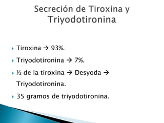    Tiroxina  93%.
   Triyodotironina  7%.
   ½ de la tiroxina  Desyoda 
    Triyodotironina.
   35 gramos de triyodotironina.
 