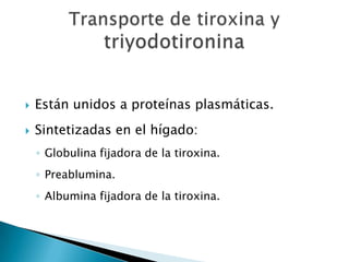    Están unidos a proteínas plasmáticas.
   Sintetizadas en el hígado:
    ◦ Globulina fijadora de la tiroxina.
    ◦ Preablumina.
    ◦ Albumina fijadora de la tiroxina.
 