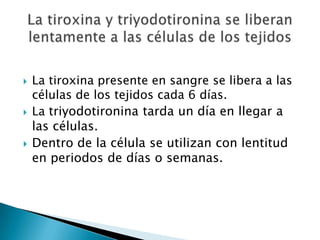    La tiroxina presente en sangre se libera a las
    células de los tejidos cada 6 días.
   La triyodotironina tarda un día en llegar a
    las células.
   Dentro de la célula se utilizan con lentitud
    en periodos de días o semanas.
 
