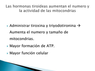    Administrar tiroxina y triyodotironina 
    Aumenta el numero y tamaño de
    mitocondrias.
   Mayor formación de ATP.
   Mayor función celular
 