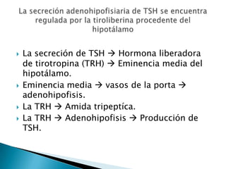   La secreción de TSH  Hormona liberadora
    de tirotropina (TRH)  Eminencia media del
    hipotálamo.
   Eminencia media  vasos de la porta 
    adenohipofisis.
   La TRH  Amida tripeptíca.
   La TRH  Adenohipofisis  Producción de
    TSH.
 