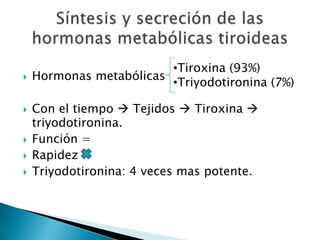 •Tiroxina (93%)
   Hormonas metabólicas
                         •Triyodotironina (7%)

   Con el tiempo  Tejidos  Tiroxina 
    triyodotironina.
   Función =
   Rapidez
   Triyodotironina: 4 veces mas potente.
 