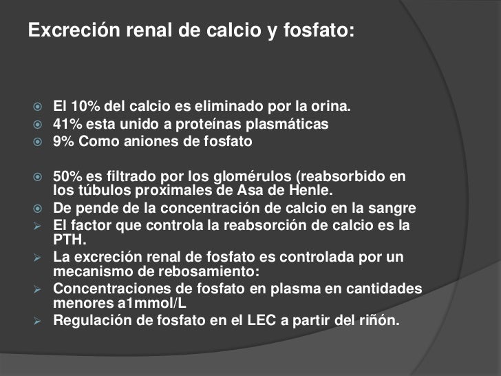 el poder del metabolismo amazon medicina natural