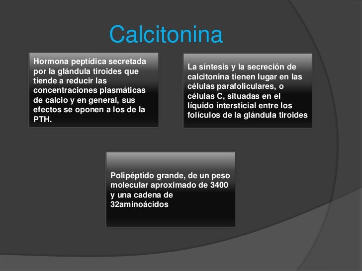 como acelerar el metabolismo para adelgazar opciones