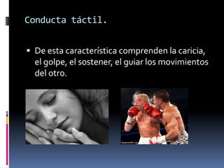 Conducta táctil.


 De esta característica comprenden la caricia,
  el golpe, el sostener, el guiar los movimientos
  del otro.
 