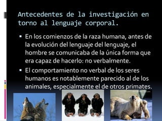 Antecedentes de la investigación en
torno al lenguaje corporal.
 En los comienzos de la raza humana, antes de
  la evolución del lenguaje del lenguaje, el
  hombre se comunicaba de la única forma que
  era capaz de hacerlo: no verbalmente.
 El comportamiento no verbal de los seres
  humanos es notablemente parecido al de los
  animales, especialmente el de otros primates.
 