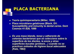PLACA BACTERIANA
PLACA BACTERIANA
PLACA BACTERIANA
„ Teoría quimioparasitaria (Miller, 1890)
„ Placa microbiana gelatinosa (Black, GV.
Susceptibility and inmunity to dental caries. Dent
Cosmos 41:826, 1899
„ Es una masa blanda, tenaz y adherente de
colonias bacterianas que se colecciona sobre la
superficie de los dientes, la encía y otras
superficies bucales (prótesis…) cuando no se
practican métodos de higiene bucal adecuados
(Katz, 1982)
„
„ Teor
Teorí
ía quimioparasitaria (Miller, 1890)
a quimioparasitaria (Miller, 1890)
„
„ Placa microbiana gelatinosa (Black, GV.
Placa microbiana gelatinosa (Black, GV.
Susceptibility
Susceptibility and
and inmunity
inmunity to
to dental caries.
dental caries. Dent
Dent
Cosmos 41:826, 1899
Cosmos 41:826, 1899
„
„ Es una masa blanda, tenaz y adherente de
Es una masa blanda, tenaz y adherente de
colonias bacterianas que se colecciona sobre la
colonias bacterianas que se colecciona sobre la
superficie de los dientes, la enc
superficie de los dientes, la encí
ía y otras
a y otras
superficies bucales (pr
superficies bucales (pró
ótesis
tesis…
…) cuando no se
) cuando no se
practican m
practican mé
étodos de higiene bucal adecuados
todos de higiene bucal adecuados
(Katz, 1982)
(Katz, 1982)
 