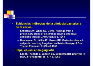 • Evidencias indirectas de la etiología bacteriana
de la caries
– Littleton NW, White CL. Dental findings from a
preliminary study of children receiving extensive
antibiotic therapy JADA 68:520-5. 1964
– Handelman SL, Mills JR, Hawes RR. Caries incidence in
subjects receiving long-term antibiotic therapy. J Oral
Therap Pharmac. 2: 338-45.1966
• Papel causal en la gingivitis
– Löe H, Theilade E, Jensen SB. Experimental gingivitis in
man. J Periodontol 36: 177-8. 1965
•
• Evidencias indirectas de la etiolog
Evidencias indirectas de la etiologí
ía bacteriana
a bacteriana
de la caries
de la caries
–
– Littleton NW, White CL. Dental
Littleton NW, White CL. Dental findings
findings from a
from a
preliminary study of children receiving extensive
preliminary study of children receiving extensive
antibiotic therapy JADA 68:520
antibiotic therapy JADA 68:520-
-5. 1964
5. 1964
–
– Handelman SL, Mills JR, Hawes RR. Caries incidence in
Handelman SL, Mills JR, Hawes RR. Caries incidence in
subjects receiving long
subjects receiving long-
-term
term antibiotic therapy. J Oral
antibiotic therapy. J Oral
Therap
Therap Pharmac
Pharmac. 2: 338
. 2: 338-
-45.1966
45.1966
•
• Papel causal en la gingivitis
Papel causal en la gingivitis
–
– L
Lö
öe H, Theilade E, Jensen SB. Experimental gingivitis in
e H, Theilade E, Jensen SB. Experimental gingivitis in
man
man. J
. J Periodontol
Periodontol 36: 177
36: 177-
-8. 1965
8. 1965
 