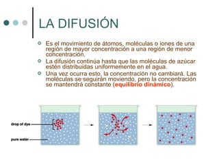 LA DIFUSIÓN
   Es el movimiento de átomos, moléculas o iones de una
    región de mayor concentración a una región de menor
    concentración.
   La difusión continúa hasta que las moléculas de azúcar
    estén distribuidas uniformemente en el agua.
   Una vez ocurra esto, la concentración no cambiará. Las
    moléculas se seguirán moviendo, pero la concentración
    se mantendrá constante (equilibrio dinámico).
 