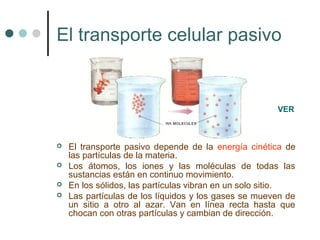 El transporte celular pasivo


                                                      VER



   El transporte pasivo depende de la energía cinética de
    las partículas de la materia.
   Los átomos, los iones y las moléculas de todas las
    sustancias están en continuo movimiento.
   En los sólidos, las partículas vibran en un solo sitio.
   Las partículas de los líquidos y los gases se mueven de
    un sitio a otro al azar. Van en línea recta hasta que
    chocan con otras partículas y cambian de dirección.
 