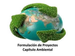 Formulación de Proyectos
Capítulo Ambiental
 