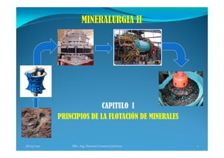 CAPITULO I
             PRINCIPIOS DE LA FLOTACIÓN DE MINERALES


18/05/2010       MSc. Ing. Nataniel Linares Gutiérrez   1
 