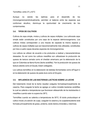 11

Termófilos: entre 37 y 43°C

Aunque      no    siendo      las      óptimas    para      el    desarrollo    de   los
microorganismosindividualmente, permiten el balance entre las especies que
conforman    elcultivo,    disminuye     la   oportunidad    de   crecimiento   de   los
contaminantes.

3.4.   TIPOS DE CULTIVOS

Cultivos de cepa simple, mixtos y cultivos de cepas múltiples. Los cultivosde cepa
simple están constituidos por una cepa de la especie delmicroorganismo. Los
cultivos mixtos corresponden a una mezcla de cepasde la misma especie y
cultivos de cepas múltiples que son lascomercialmente más utilizadas, constituidas
por tres a cuatro cepas devarias especies de microorganismos.

Los cultivos se utilizan de acuerdo a los productos a realizar y lascaracterísticas
deseadas. Es así como los cultivos mesófilos son utilizadosen la producción de
quesos de textura cerrada como el cheddar americano yen la elaboración de lo
que en Colombia se llama Kumis (leche acidófila). Yen la producción de quesos de
textura abierta como el Gouda, Edam cottageetc.

Los cultivos termófilos en la elaboración de bebidas fermentadas como elYogurt ó
en la elaboración de quesos de pasta dura como el Gruyere.


3.5.   INFLUENCIA DE LAS BACTERIAS LACTICAS SOBRE LA LECHE

Del tratamiento inicial de la leche resultan coágulos formadosprincipalmente de
caseína. Para coagular la leche se agrega un cultivo inicialde bacterias acidófilas
la cual se calienta a temperaturas que favorecen eldesarrollo de los lactobacilos ó
mesófilos cuando este no supera los 38°C.

Termófilas cuando se calienta a temperaturas de 50°C. El ácido producidopor el
cultivo inicial y la adición de cuajo, coagulan la caseína y la cuajadaresultante está
formada principalmente de grasa, proteína, ácido láctico,minerales y vitaminas.
 