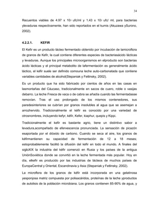 34

Recuentos viables de 4.97 x 107 ufc/ml y 1.43 x 107 ufc/ ml, para bacterias
ylevaduras respectivamente, han sido reportados en el kumis (Akuzawa ySurono,
2002).


4.2.2.1.     KEFIR

El Kefir es un producto lácteo fermentado obtenido por incubación de lamicroflora
de granos de Kefir, la cual contiene diferentes especies de bacteriasácido lácticas
y levaduras. Aunque los principales microorganismos en elproducto son bacterias
ácido lácticas y el principal metabolito de lafermentación es generalmente ácido
láctico, el kéfir suele ser definido comouna leche auto-carbonatada que contiene
variables cantidades de alcohol(Stepaniak y Fetlinsky, 2002).

Es un producto que ha sido fabricado por cientos de años en las casas en
lasmontañas del Cáucaso, tradicionalmente en sacos de cuero, roble o vasijas
debarro. La leche Fresca de vaca o de cabra se añadía cuando las fermentadasse
removían.   Tras    el   uso   prolongado     de   los   mismos    contenedores,   sus
paredesinteriores se cubrían por granos insolubles al agua que se asemejan a
arrozhervido. Tradicionalmente el kéfir es conocido por una variedad de
otrosnombres, incluyendo kefyr, kéfir, Kefer, kiaphur, quepis y Kippi.

Tradicionalmente el kefir es bastante agrio, tiene un distintivo sabor a
levadura,acompañado de efervescencia pronunciada. La sensación de picazón
esaportada por el dióxido de carbono. Cuando se seca al aire, los granos de
kéfirmantienen     su    capacidad   de     fermentación   de     12   a   18   meses;
estoprobablemente facilitó la difusión del kéfir en todo el mundo. A finales del
sigloXIX la industria del kéfir comenzó en Rusia y los países de la antigua
UniónSoviética donde se convirtió en la leche fermentada más popular. Hoy en
día, elkefir es producido por las industrias de lácteos de muchos países de
EuropaCentral y Oriental, Escandinavia y Asia (Stepaniak y Fetlinsky, 2002).

La microflora de los granos de kéfir está incorporada en una gelatinosa
yesponjosa matriz compuesta por polisacáridos, proteínas de la leche yproductos
de autolisis de la población microbiana. Los granos contienen 85-90% de agua, y
 
