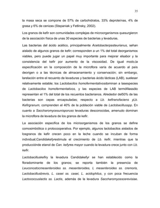 35

la masa seca se compone de 57% de carbohidratos, 33% deproteínas, 4% de
grasa y 6% de cenizas (Stepaniak y Fetlinsky, 2002).

Los granos de kefir son comunidades complejas de microorganismos quesurgieron
de la asociación física de unas 30 especies de bacterias y levaduras.

Las bacterias del ácido acético, principalmente Acetobacterpasteurianus, sehan
aislado de algunos granos de kefir; corresponden a un 1% del total deorganismos
viables, pero puede jugar un papel muy importante para mejorar elsabor y la
consistencia del kefir por aumento de la viscosidad. De igual modo,la
especificación en la composición de la microflora varía de acuerdo al país
deorigen o a las técnicas de almacenamiento y conservación; sin embargo,
larelación entre el recuento de levaduras y bacterias ácido lácticas (LAB), sueleser
relativamente estable; los Lactobacilos homofermentativosdominan a lasespecies
de Lactobacilos homofermentativos, y las especies de LAB termófilassólo
representan el 1% del total de los recuentos bacterianos. Alrededor del50% de las
bacterias son cepas encapsuladas; respecto a Lb. kefiranofaciens yLb.
Kefirgranum, comprenden el 40% de la población viable de Lactobacillusspp. En
cuanto a Saccharomycesunisporuso levaduras desconocidas, amenudo dominan
la microflora de levadura de los granos de kefir.

La asociación especifica de los microorganismos de los granos se define
comosimbiótica o protocooperativa. Por ejemplo, algunos lactobacilos aislados de
losgranos de kefir crecen poco en la leche cuando se incuban de forma
individual;Candidakefyrestimula el crecimiento de Lb. kefir, mientras que la
producciónde etanol de Can. kefyres mayor cuando la levadura crece junto con Lb.
kefir.

Lactobacilluskefiry la levadura Candidakefyr se han establecido como la
floradominante    de   los   granos;   se   reporta    también   la   presencia   de
Leuconostocmesenteroides ss. mesenteroides, L mesenteroides ss. cremoris,
Lactobacillusbrevis, L. casei ss. casei, L. acidophilus, y con poca frecuencia
Lactococcuslactis ss. Lactis, además de la levadura Saccharomycescerevisiae.
 