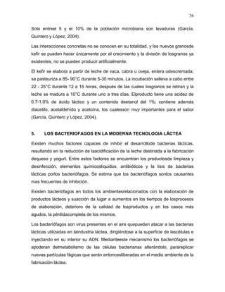 36

Solo entreel 5 y el 10% de la población microbiana son levaduras (García,
Quintero y López, 2004).

Las interacciones concretas no se conocen en su totalidad, y los nuevos granosde
kefir se pueden hacer únicamente por el crecimiento y la división de losgranos ya
existentes, no se pueden producir artificialmente.

El kefir se elabora a partir de leche de vaca, cabra u oveja, entera odescremada;
se pasteuriza a 85- 90°C durante 5-30 minutos. La incubación selleva a cabo entre
22 - 25°C durante 12 a 16 horas, después de las cuales losgranos se retiran y la
leche se madura a 10°C durante uno a tres días. Elproducto tiene una acidez de
0.7-1.0% de ácido láctico y un contenido deetanol del 1%; contiene además
diacetilo, acetaldehído y acetoína, los cualesson muy importantes para el sabor
(García, Quintero y López, 2004).


5.    LOS BACTERIOFAGOS EN LA MODERNA TECNOLOGIA LÁCTEA

Existen muchos factores capaces de inhibir el desarrollode bacterias lácticas,
resultando en la reducción de laacidificación de la leche destinada a la fabricación
dequeso y yogurt. Entre estos factores se encuentran los productosde limpieza y
desinfección, elementos químicoslíquidos, antibióticos y la lisis de bacterias
lácticas porlos bacteriófagos. Se estima que los bacteriófagos sonlos causantes
mas frecuentes de inhibición.

Existen bacteriófagos en todos los ambientesrelacionados con la elaboración de
productos lácteos y suacción da lugar a aumentos en los tiempos de losprocesos
de elaboración, deterioro de la calidad de losproductos y en los casos más
agudos, la pérdidacompleta de los mismos.

Los bacteriófagos son virus presentes en el aire quepueden atacar a las bacterias
lácticas utilizadas en laindustria láctea, dirigiéndose a la superficie de lascélulas e
inyectando en su interior su ADN. Medianteeste mecanismo los bacteriófagos se
apoderan delmetabolismo de las células bacterianas alterándolo, parareplicar
nuevas partículas fágicas que serán entoncesliberadas en el medio ambiente de la
fabricación láctea.
 