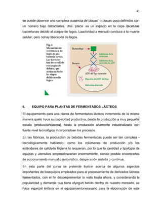 43

se puede observar una completa ausencia de¨placas¨ o placas poco definidas con
un número bajo debacterias. Una ¨placa¨ es un espacio en la capa decélulas
bacterianas debido al ataque de fagos. Laactividad a menudo conduce a la muerte
celular, pero nohay liberación de fagos.




6.    EQUIPO PARA PLANTAS DE FERMENTADOS LÁCTEOS

El equipamiento para una planta de fermentados lácteos incrementa de la misma
manera quelo hace su capacidad productiva, desde la producción a muy pequeña
escala (produccióncasera), hasta la producción altamente industrializada con
fuerte nivel tecnológico incorporadoen los procesos.

En las fábricas, la producción de bebidas fermentadas puede ser tan compleja -
tecnológicamente hablando- como los volúmenes de producción y/o los
estándares de calidade higiene lo requieran, por lo que la cantidad y tipología de
equipos y utensilios empleadosvarían enormemente, siendo posible encontrarlos
de accionamiento manual o automático, deoperación aislada o continua.

En esta parte del curso se pretende ilustrar acerca de algunos aspectos
importantes de losequipos empleados para el procesamiento de derivados lácteos
fermentados, con el fin decomplementar lo visto hasta ahora, y considerando la
popularidad y demanda que tiene elyogurt batido dentro de nuestro mercado, se
hace especial énfasis en el equipamientonecesario para la elaboración de este
 