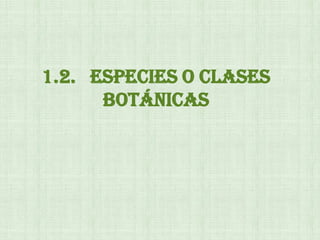 1.2. ESPECIES O CLASES
BOTÁNICAS
 