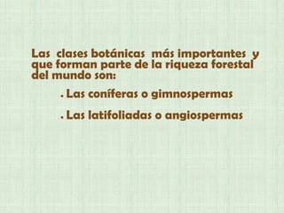 Las clases botánicas más importantes y
que forman parte de la riqueza forestal
del mundo son:
● Las coníferas o gimnospermas
● Las latifoliadas o angiospermas
 