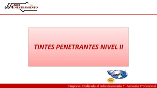 TINTES PENETRANTES NIVEL II
Empresa Dedicada al Adiestramiento Y Asesoría Profesional
 