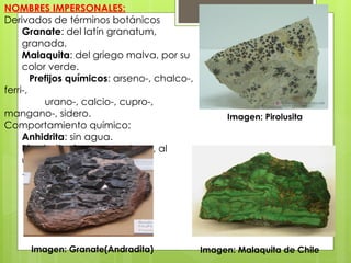 NOMBRES IMPERSONALES:
Derivados de términos botánicos
Granate: del latín granatum,
granada.
Malaquita: del griego malva, por su
color verde.
Prefijos químicos: arseno-, chalco-,
ferri-,
urano-, calcio-, cupro-,
mangano-, sidero.
Comportamiento químico:
Anhidrita: sin agua.
Piroslusita: fuego para lavar, al
usarse en vidrios incoloros.
.
Imagen: Granate(Andradita) Imagen: Malaquita de Chile
Imagen: Pirolusita
 