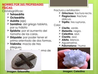 NOMBES POR SUS PROPIEDADES
FÍSICAS:
Cristalográficas:
 Tetraedrita
 Octaedrita
 Axinita (eje)
 Sanidina: del griego tableta,
por su hábito
 Epidota: por el aumento del
tamaño de las caras.
 Diópsido: por poder tener el
prima orientado de dos formas.
 Tridimita: macla de tres
pliegues.
 Estaurolita: macla en forma de
cruz.
Fractura y exfoliación:
 Ortoclasa: fractura recta.
 Plagioclasa: fractura
oblicua.
 Triplita: tres rupturas.
Color:
 Clorita, verde.
 Melanita, negra.
 Celestina, azul.
 Cianita, azul.
 Albita, blanca.
 Aguamarina.
 Psilomelana: “humo
negro”, por su color.
Imagen: Estaurolita Imagen: Celestina
 