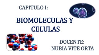 CAPITULO I:
BIOMOLECULAS Y
CELULAS
DOCENTE:
NUBIA VITE ORTA
 