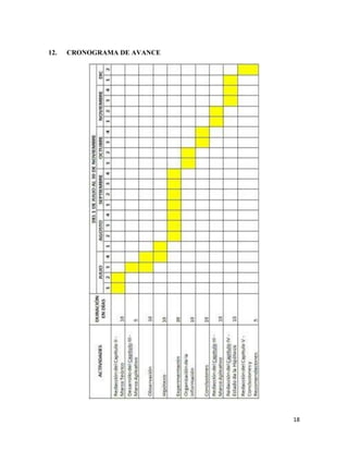 18
12. CRONOGRAMA DE AVANCE
 