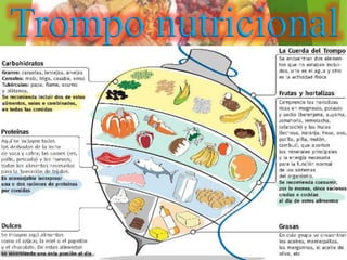 Trompo nutricional
 