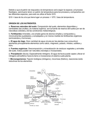 Capitulo ii agricultura