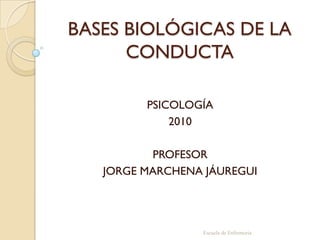 BASES BIOLÓGICAS DE LA CONDUCTA PSICOLOGÍA  2010 PROFESOR JORGE MARCHENA JÁUREGUI Escuela de Enfermería 